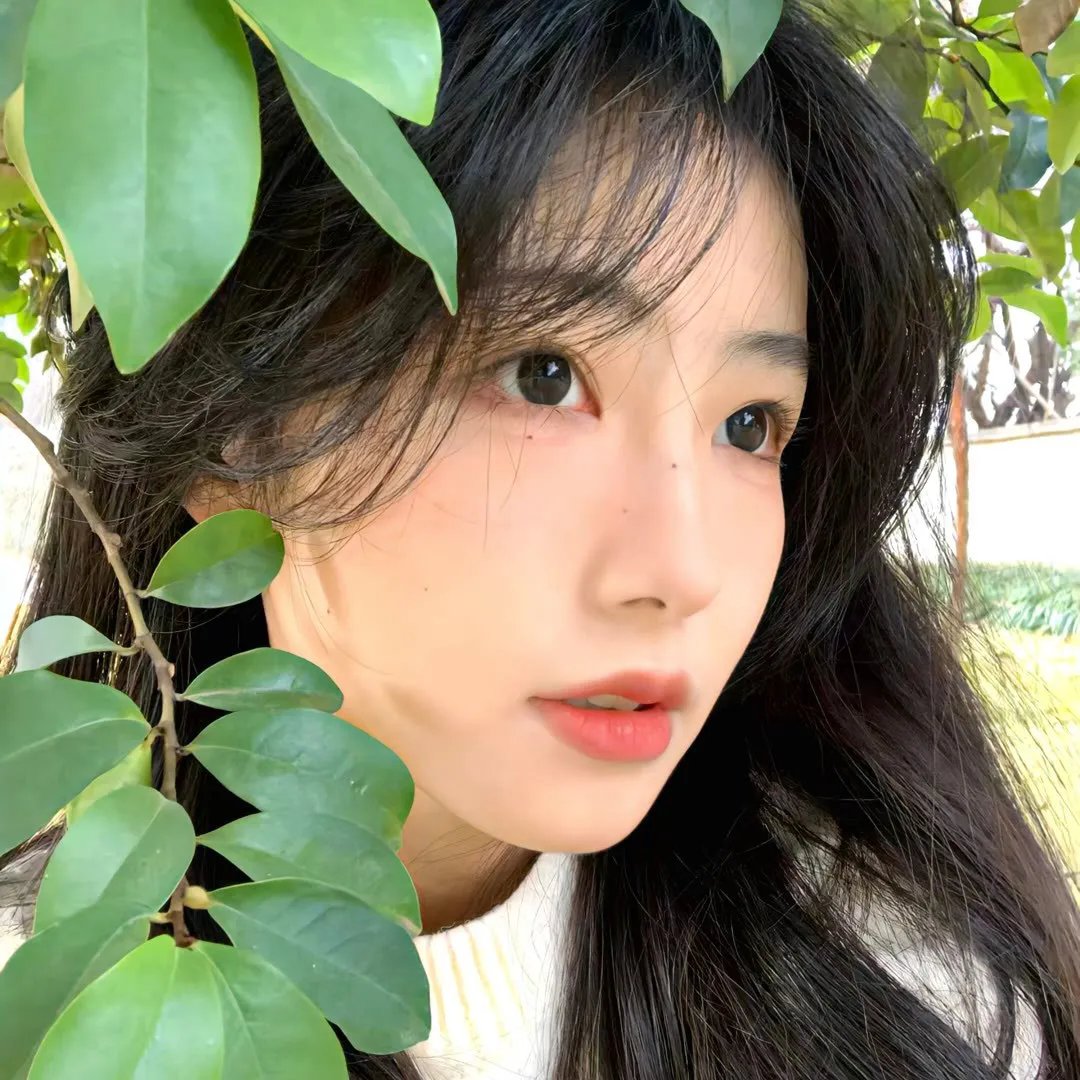 蒙太奇